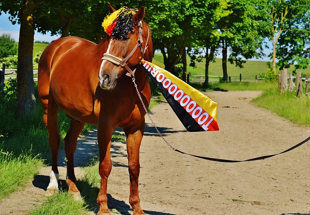 卡牌大师？皇马本场主裁本赛季此前7场西甲出示35黄6红