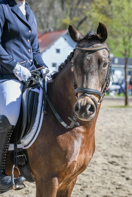 来吸引更多 来吸引更多