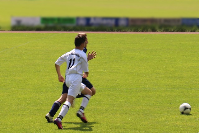 从而帮助选 从而帮助选