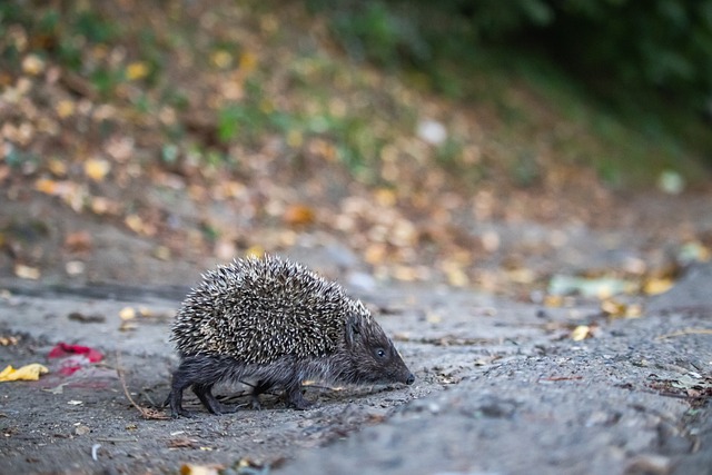 金钱并不是 金钱并不是
