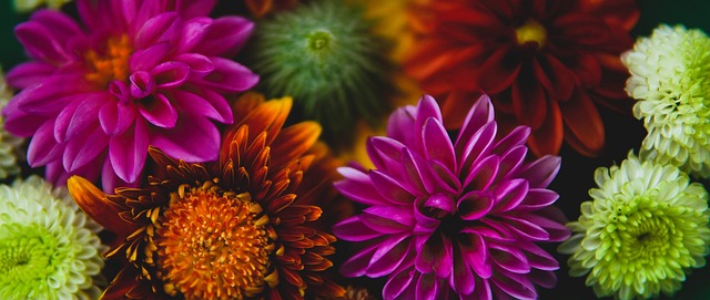 培养或许是 培养或许是