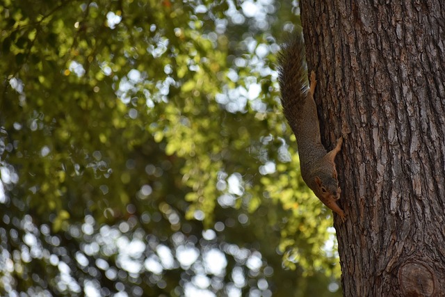这无疑是一 这无疑是一